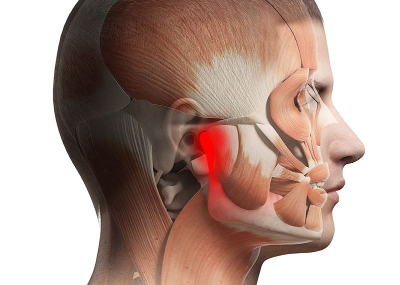 Maxilar: anatomia, principais causas de dor e muito mais